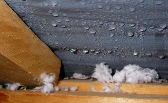 Кто кроет свою крышу отечественным шифером – тот становится богаче и живет дольше