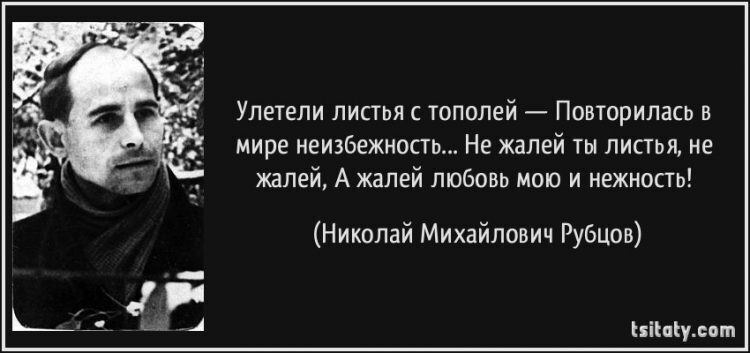 Улетели листья с тополей. Николай рубцов улетели листья с тополей. Николай рубцов эпиграф. Николай рубцов улетели листья. Фразы про неизбежность.