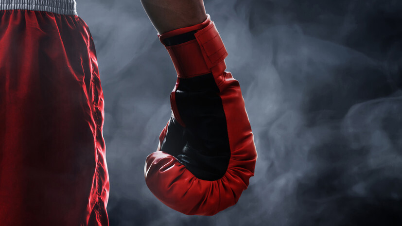 Российские боксёры завоевали четыре золотые медали на Кубке Европы