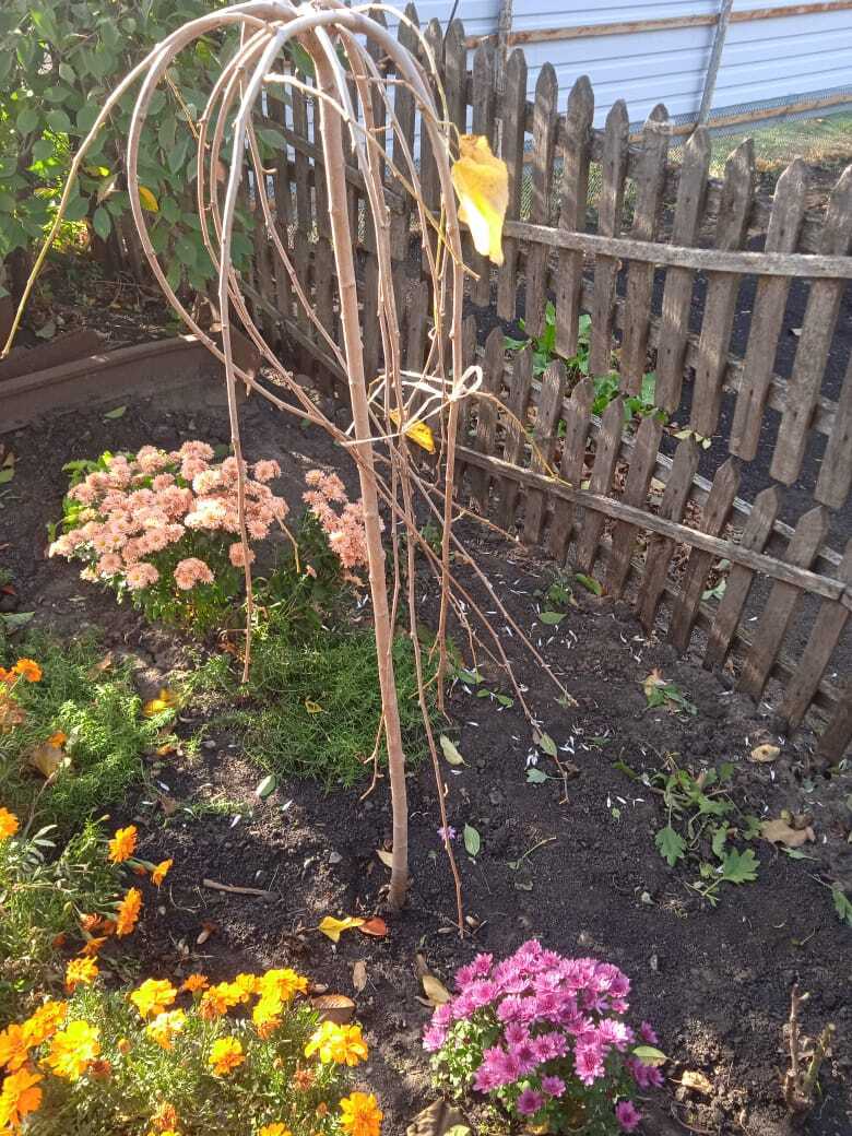 Мечты сбываются!!! Спасибо моей прекрасной даче и любимому журналу!