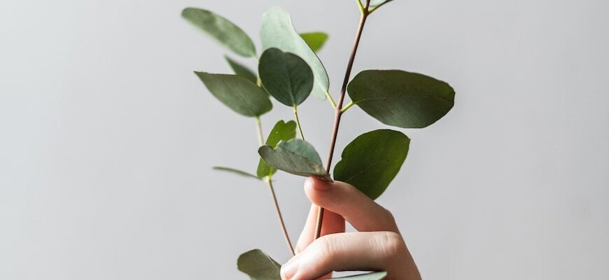 Изменение образа жизни: как мы будем жить в будущем?