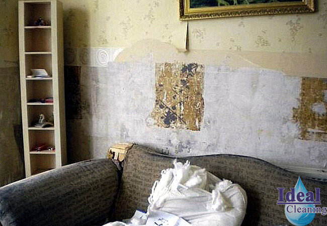 Смотрите, что может случиться с вашей квартирой, если её сдать в аренду неаккуратным мигрантам