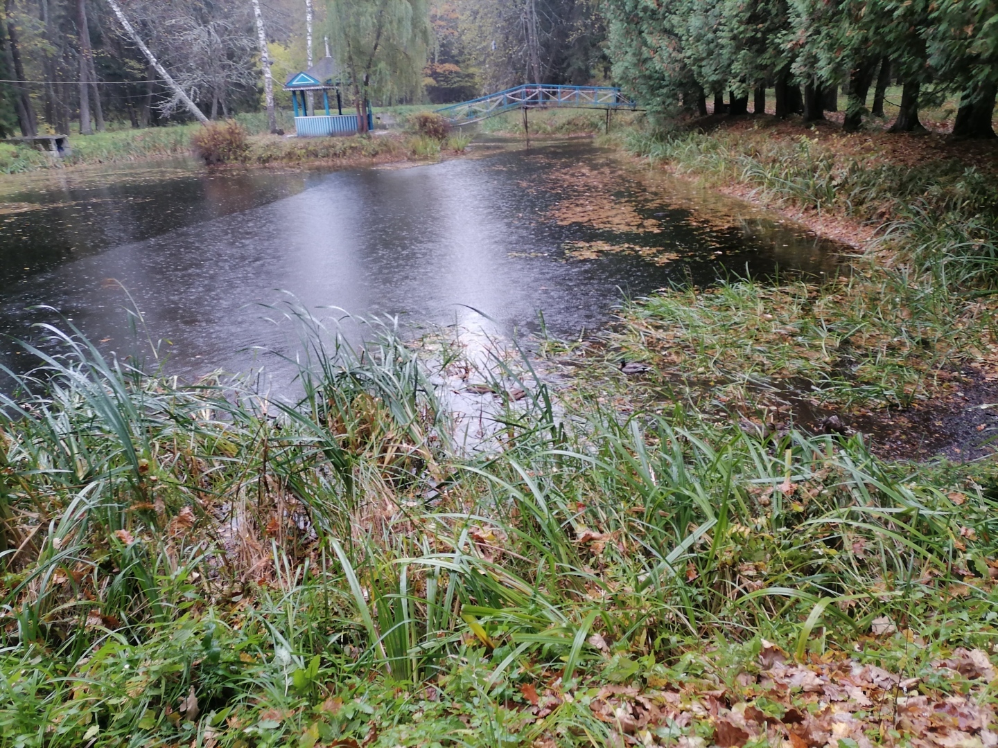 Мой отдых в пансионате Карачарово. Плюсы и минусы