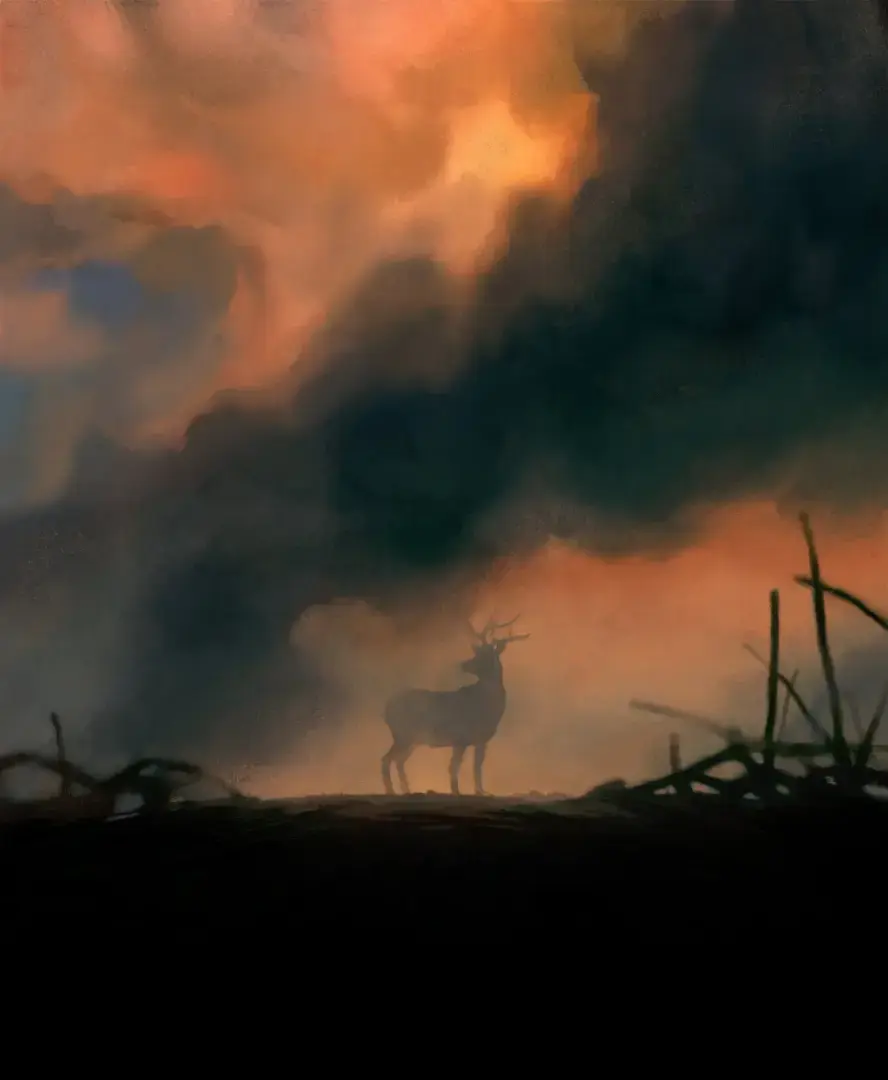 Как мегапожары меняют мир