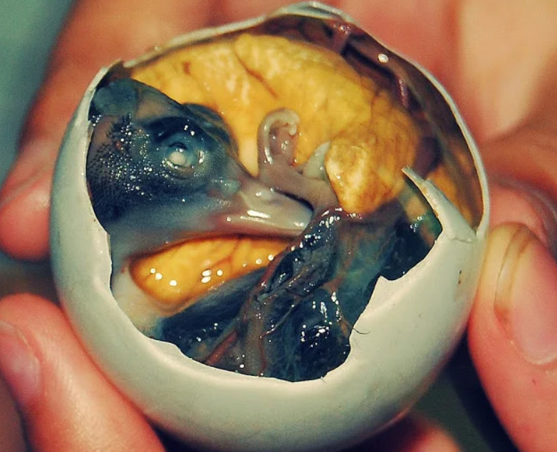 11 необычных блюд, о которых мало кто слышал