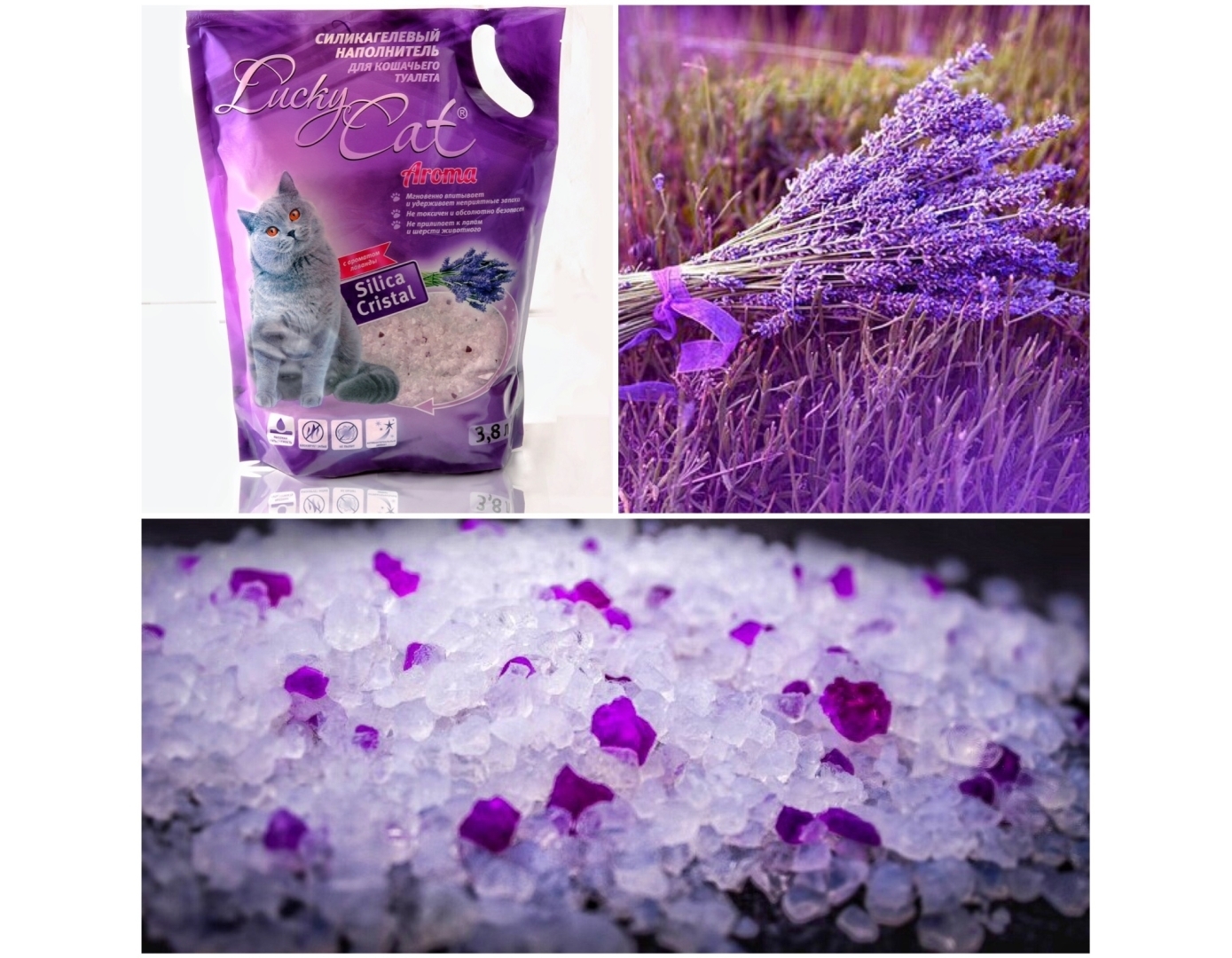 Как выбрать наполнитель для кошачьего лотка