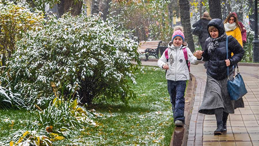 В Москве выпал первый снег