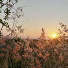 Юлия, г. Нижний Новгород