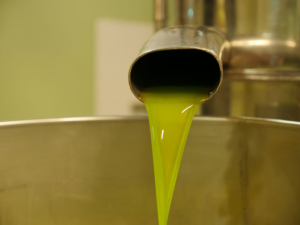 Лучшие винодельни Кьянти, которые стоит посетить