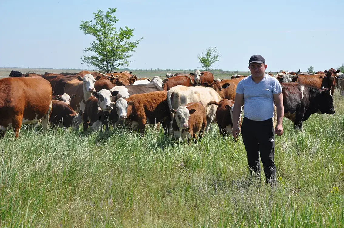 Дайте дорогу фермерам.