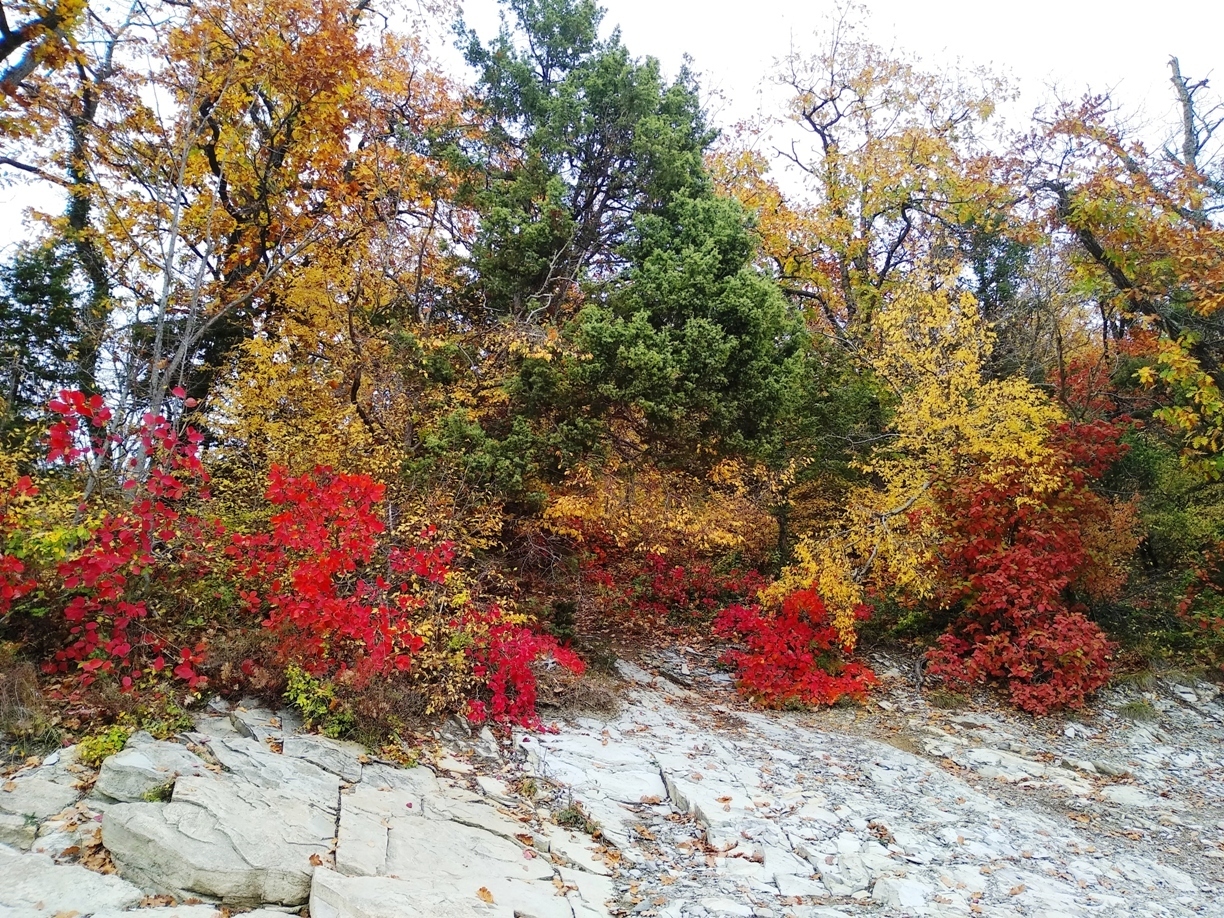 Я покажу вам осени начало. Анапа, за городом 22 октября, много фото