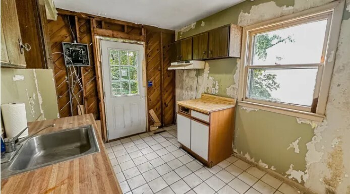 «Самый дешевый дом в мире» продается за 1 доллар: объект в Детройте может похвастаться «заросшими кустарниками и экзотическими сорняками»