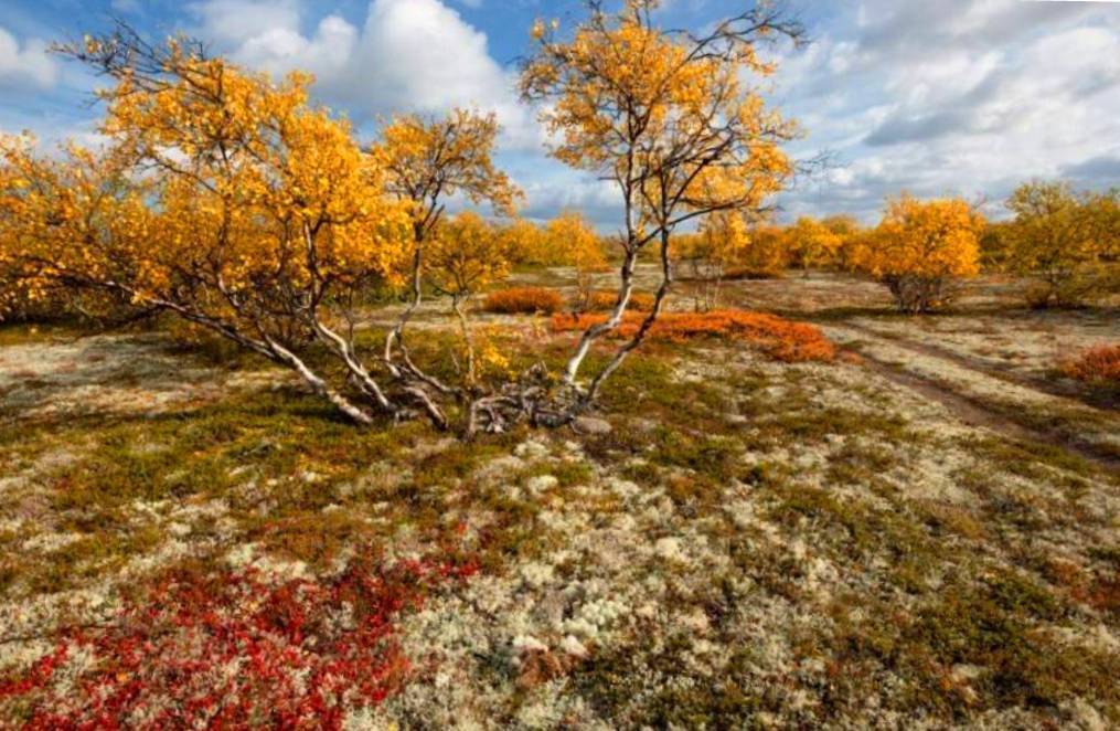 Я покажу вам осени начало. Анапа, за городом 22 октября, много фото