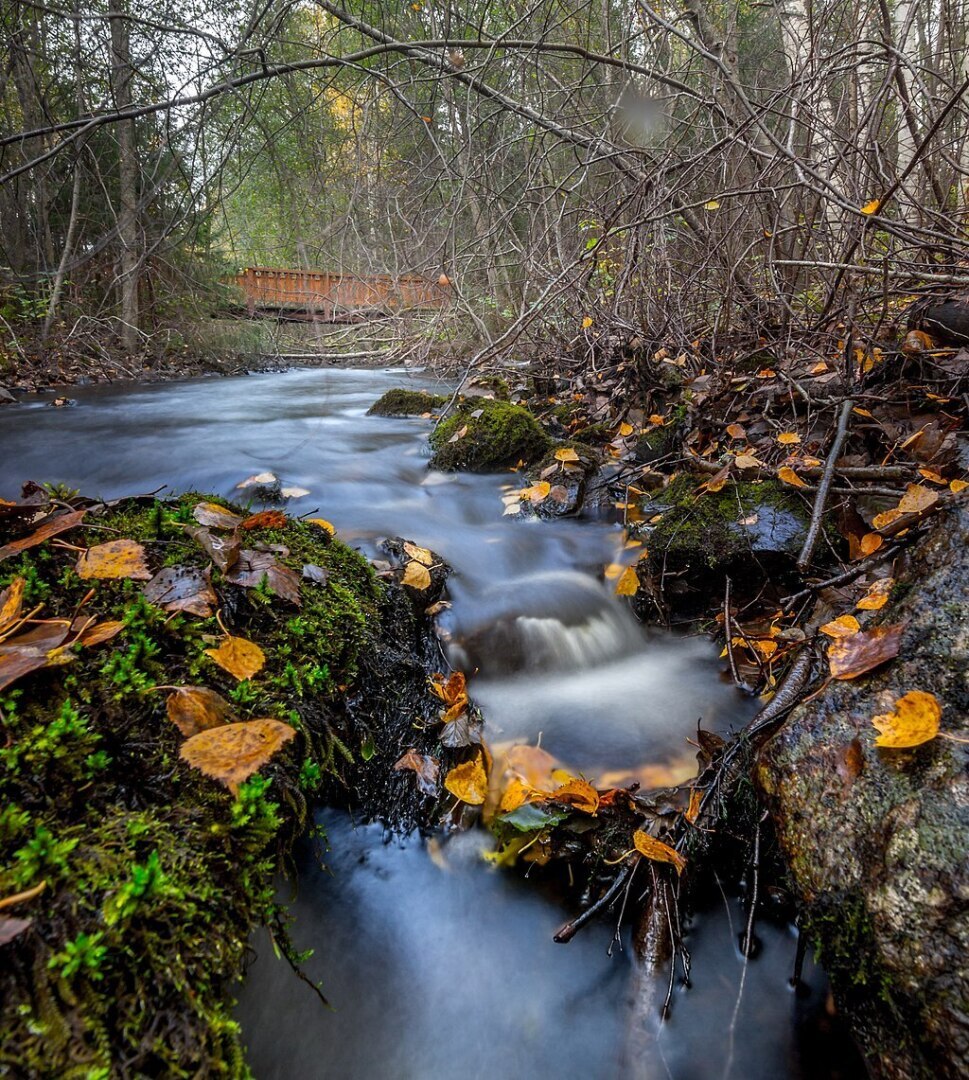 Вы любите осень или нет? Конечно есть красивые моменты осени.... Но в целом, все не то с Вашей осенью....