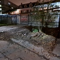 20231024_231143.jpg