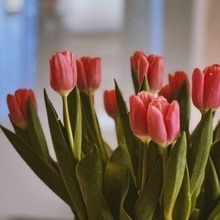 Татьяна, г. Мытищи