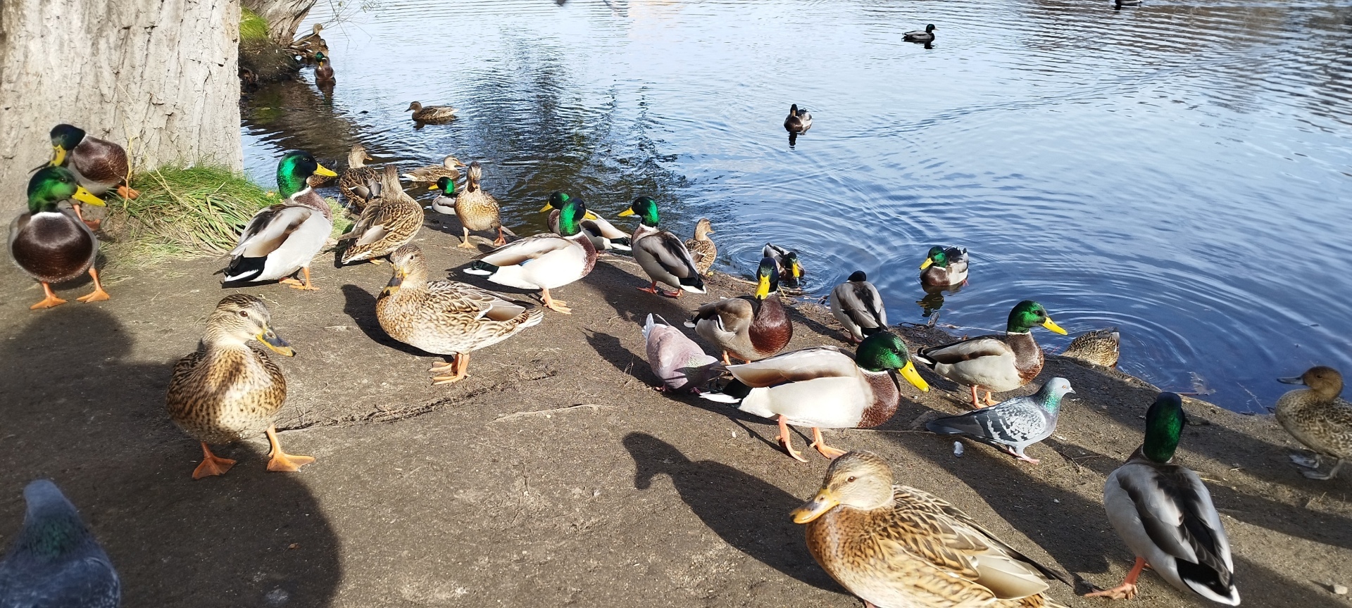 Осень - время перемен и вдохновения. Как бороться с осенней хандрой и почему русские поэты так любили осень. Давайте поразмышляем вместе.