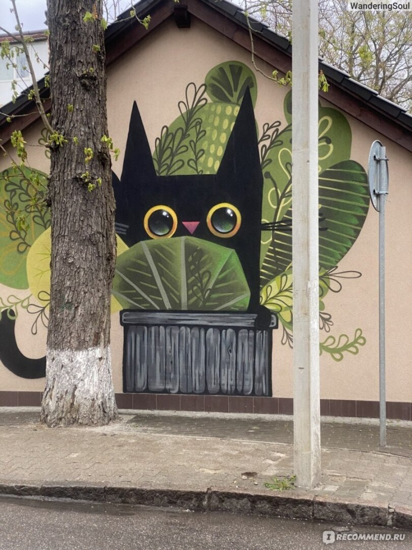 Мои Самые любимые города в Калининградской области