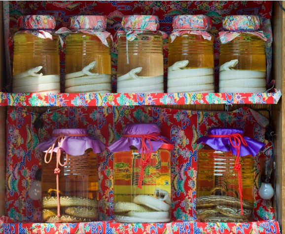 Необычный музей в Японии