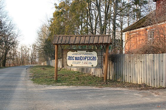 Рассказ "Город Борисовка"