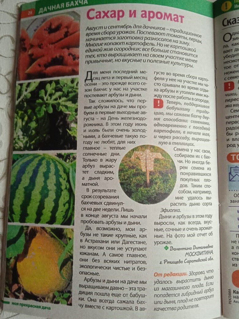 Сахар, аромат и пугало – моя седьмая публикация в журнале «Моя прекрасная дача» и очередной авторский гонорар.