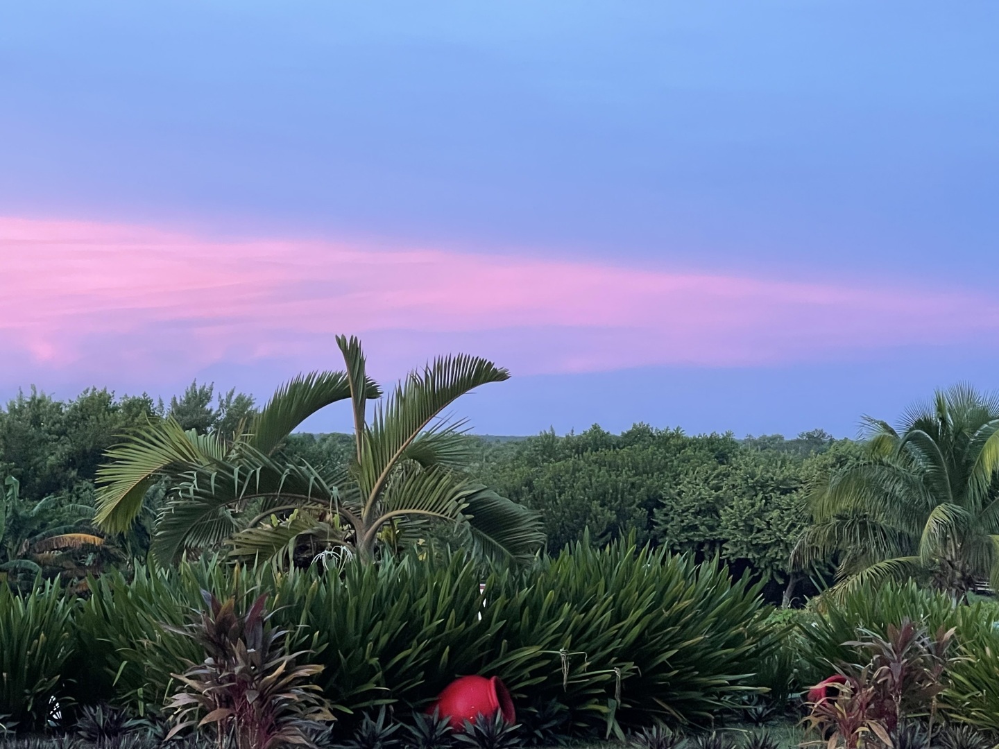 Куба Либре! Кайо Коко! Мой отпуск на Острове Свободы: стоит ли лететь 14 часов ради природы? Фотоотчет