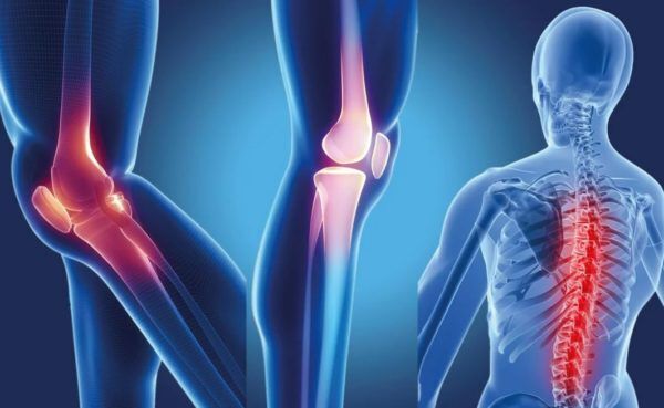 Укрепление костей: богатые коллагеном блюда для предотвращения переломов