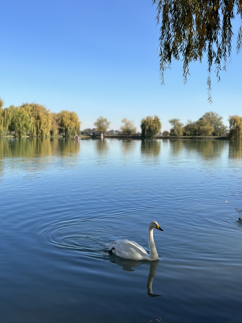 Красивые места в Кабардино-Балкарии, в которых я недавно побывала и нахожусь под впечатлением