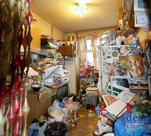 😱😱😱 "Тихий ужас" - Синдром "плюшкиных". Как выглядят самые грязные и запущенные квартиры в России, которые не будут убирать клининговые компании ❎