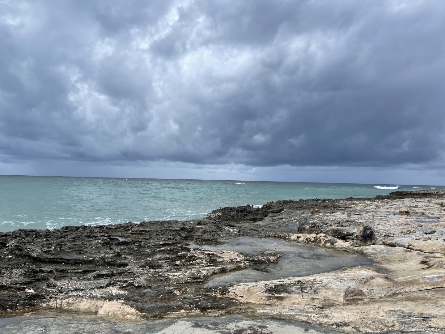 Куба Либре! Кайо Коко! Мой отпуск на Острове Свободы: стоит ли лететь 14 часов ради природы? Фотоотчет