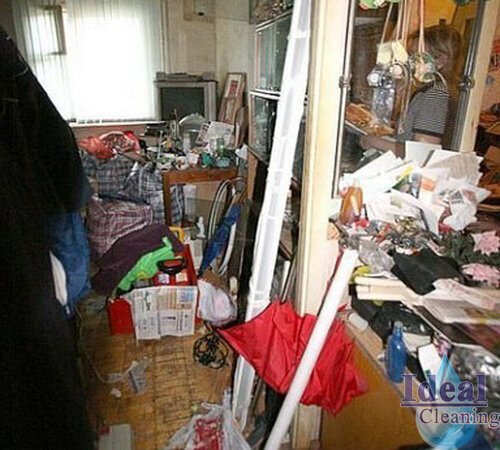 😱😱😱 "Тихий ужас" - Синдром "плюшкиных". Как выглядят самые грязные и запущенные квартиры в России, которые не будут убирать клининговые компании ❎