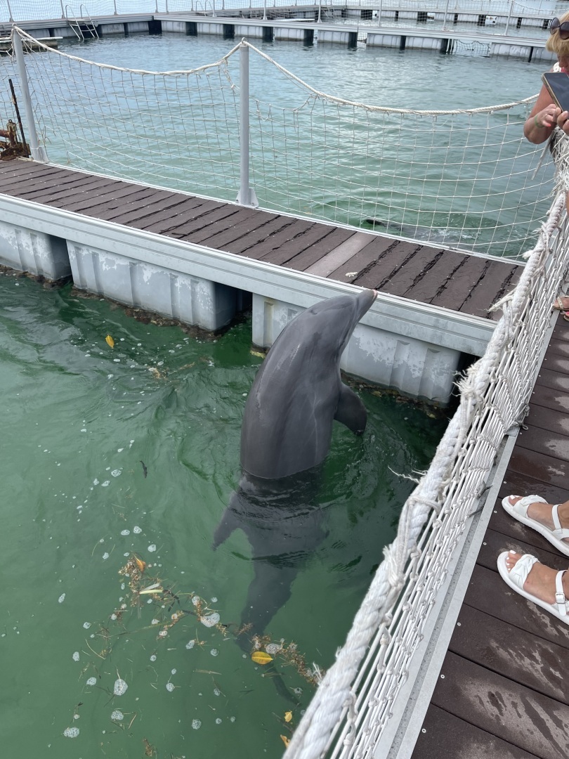 Куба Либре! Кайо Коко! Мой отпуск на Острове Свободы: стоит ли лететь 14 часов ради природы? Фотоотчет