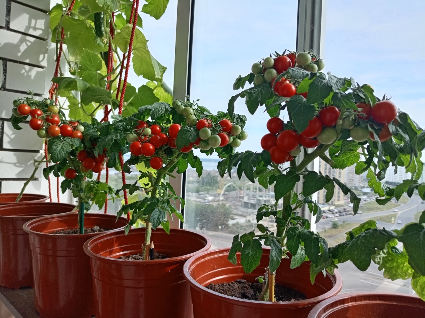 Как подготовиться к старости: 7 советов от подписчиков