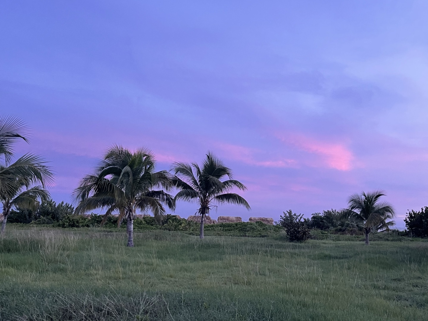 Куба Либре! Кайо Коко! Мой отпуск на Острове Свободы: стоит ли лететь 14 часов ради природы? Фотоотчет