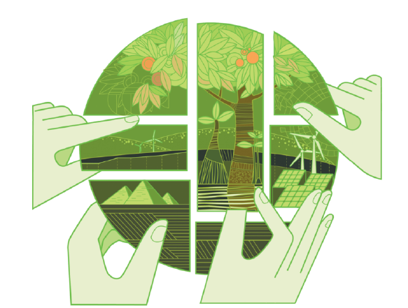 Мировые новости: мир «не справляется» с обещанием остановить вырубку лесов к 2030 году