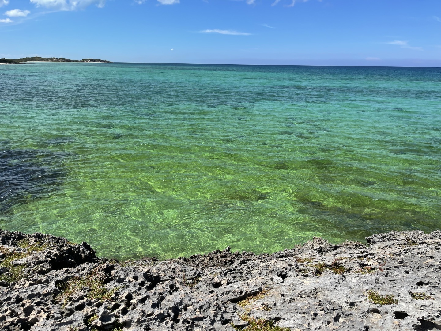 Куба Либре! Кайо Коко! Мой отпуск на Острове Свободы: стоит ли лететь 14 часов ради природы? Фотоотчет