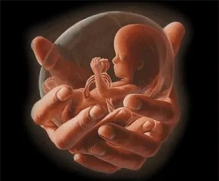 Аборты по закону!!!