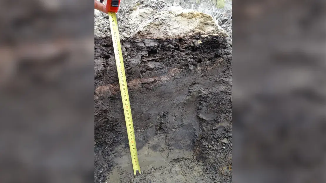 Астероид, обрекший динозавров, остановил ключевой процесс для жизни на Земле, говорят ученые.