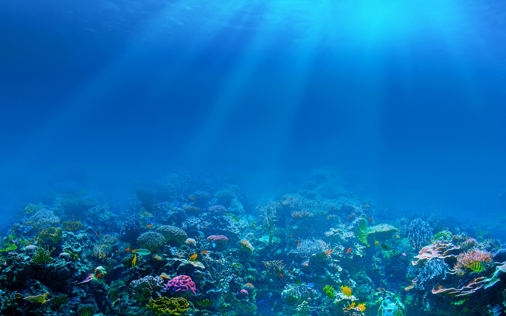 моря и океаны и подводный мир
