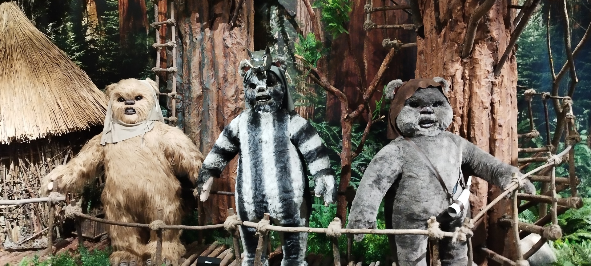 Наше посещение выставки «Звездные войны на ВДНХ». Рассказываю свои впечатления и делюсь авторскими фото. Фанатам этого фильма рекомендуется!