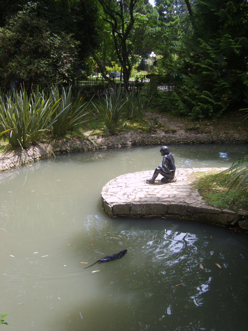 Сочи. Наша поездка в «Дендрарий». Масса впечатлений от удивительных растений!