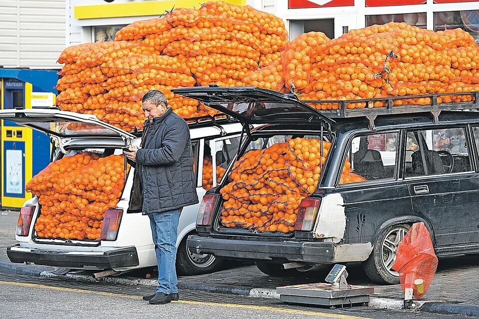 Россия на «Пике»…Огромная конкуренция за Поставку Цитрусовых в Россию!