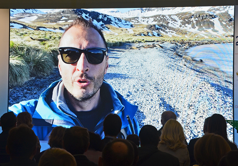 Золотая черепаха