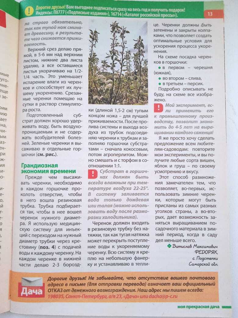 Мой первый неудачный опыт публикации в журнале "Моя прекрасная дача" или почему я осталась без авторского гонорара. Не повторяйте моих ошибок.