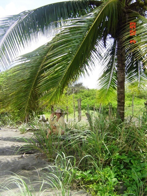 Онкологическое отступление № 12. Споры вокруг роли тромбоцитов в способности злокачественных опухолей создавать метастазы