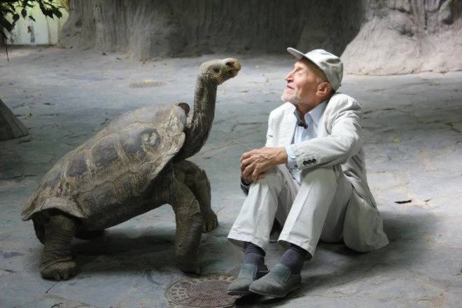 Замeчатeльная пepeдача. Зaмечательный ведyщий. Как же я любил эту передачу! Напишите как она называлась?