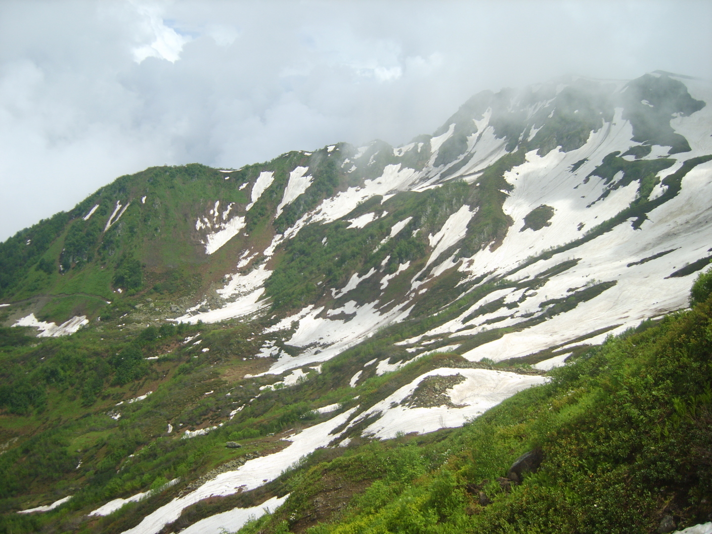 Море, горы или лес? Какой отдых предпочитаете Вы? Рассказываю, что люблю я