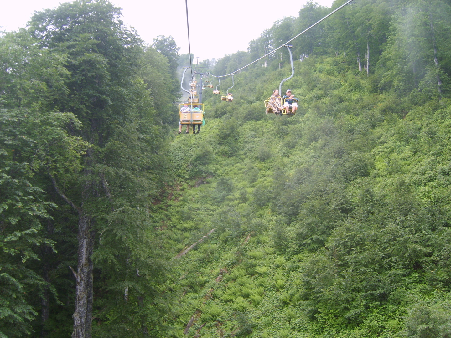 Море, горы или лес? Какой отдых предпочитаете Вы? Рассказываю, что люблю я