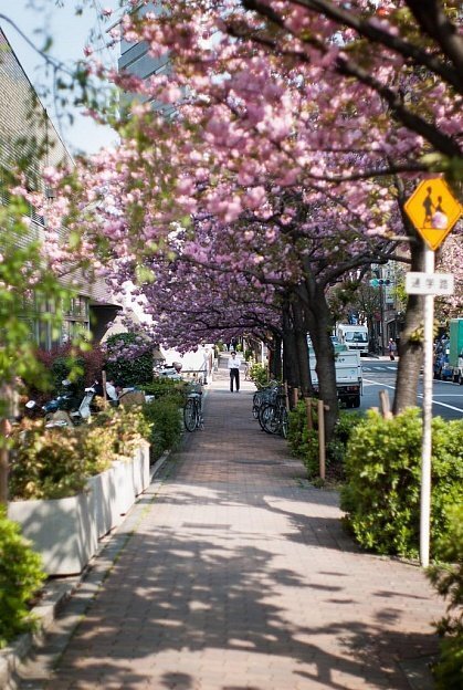 Близость-Японии.