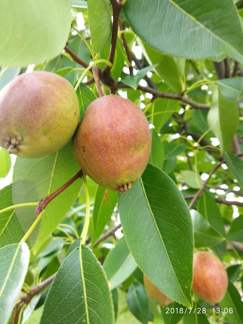 Станица Старочеркасская - одно из красивейших исторических мест Ростовской области